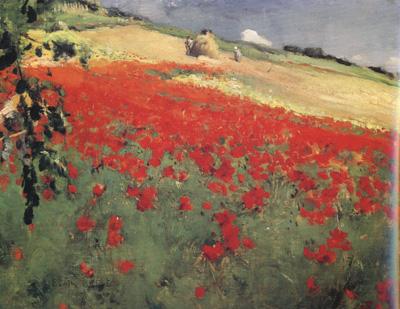 William blair bruce Landscape with Poppies (nn02) oil painting picture